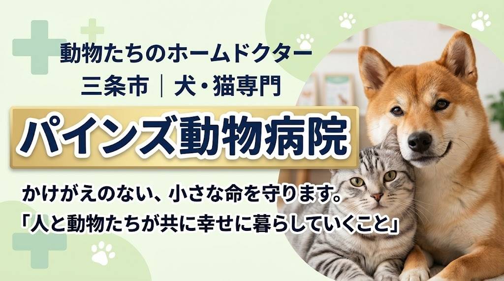 パインズ動物病院